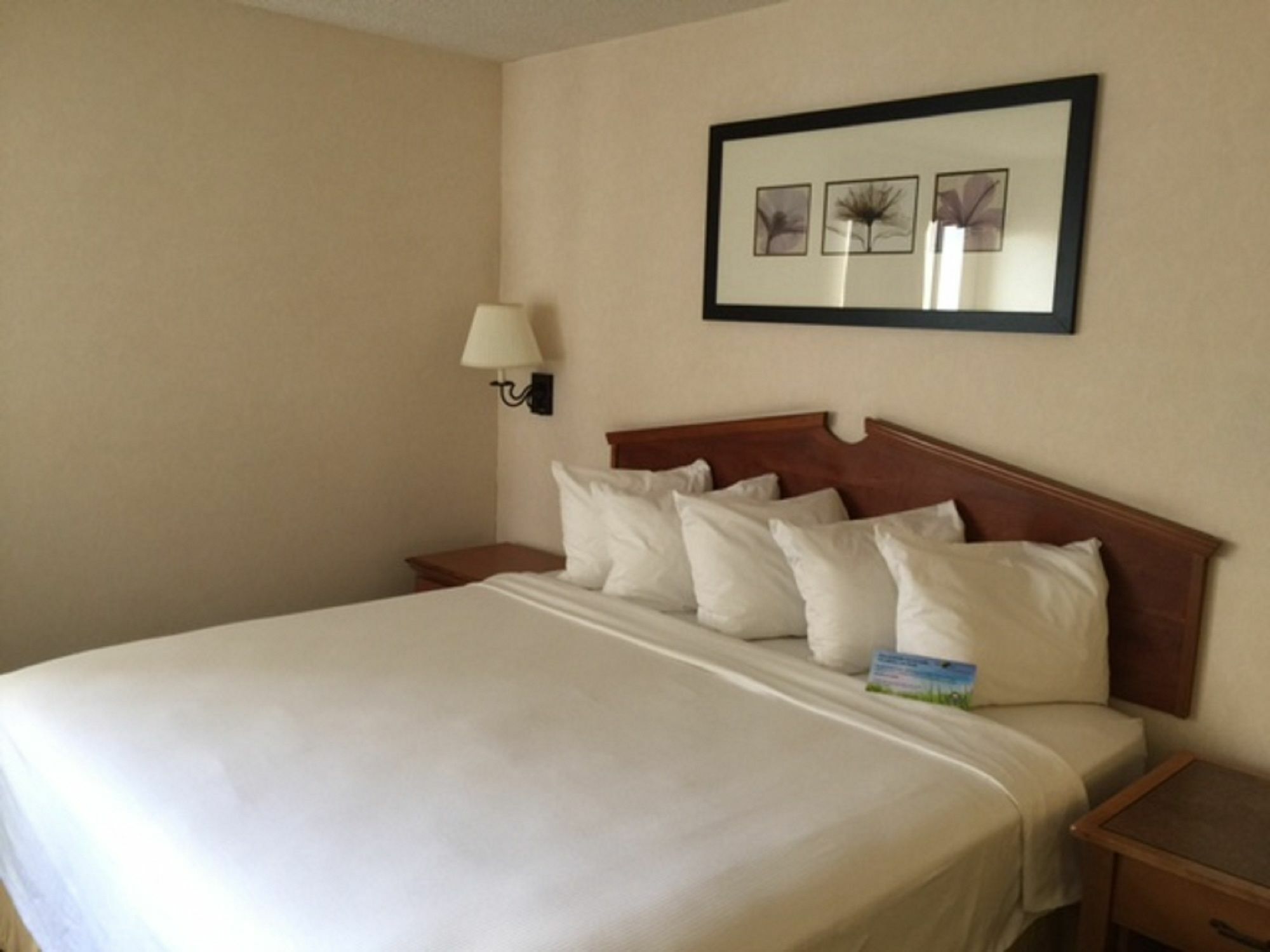 Days Inn & Suites By Wyndham Denver International Airport Luaran gambar